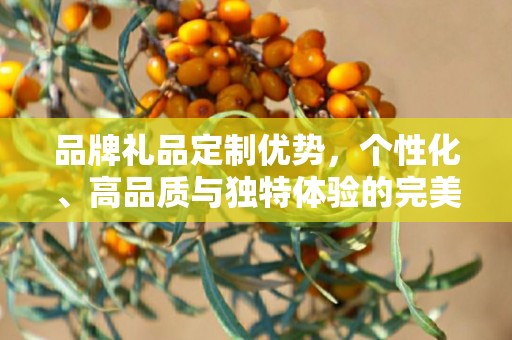 品牌礼品定制优势，个性化、高品质与独特体验的完美结合
