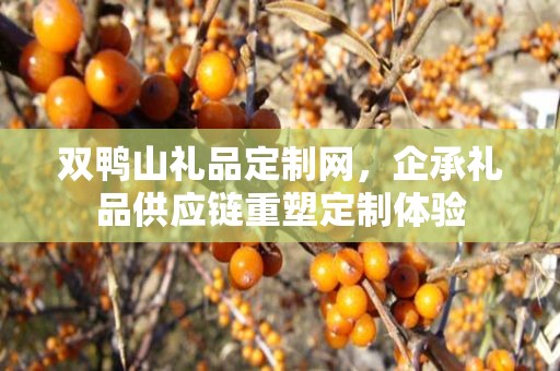 双鸭山礼品定制网，企承礼品供应链重塑定制体验