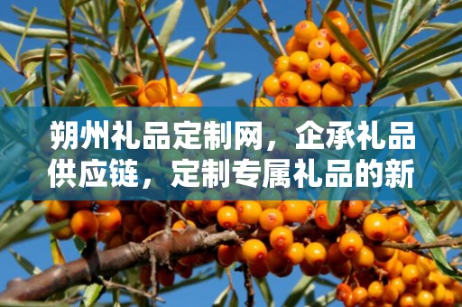 朔州礼品定制网，企承礼品供应链，定制专属礼品的新选择